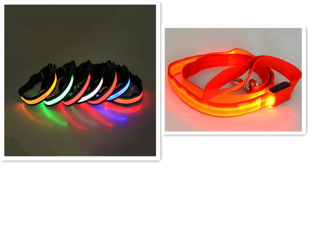 LED Dog Leash with Fluorescent Dog Collar - Roliac