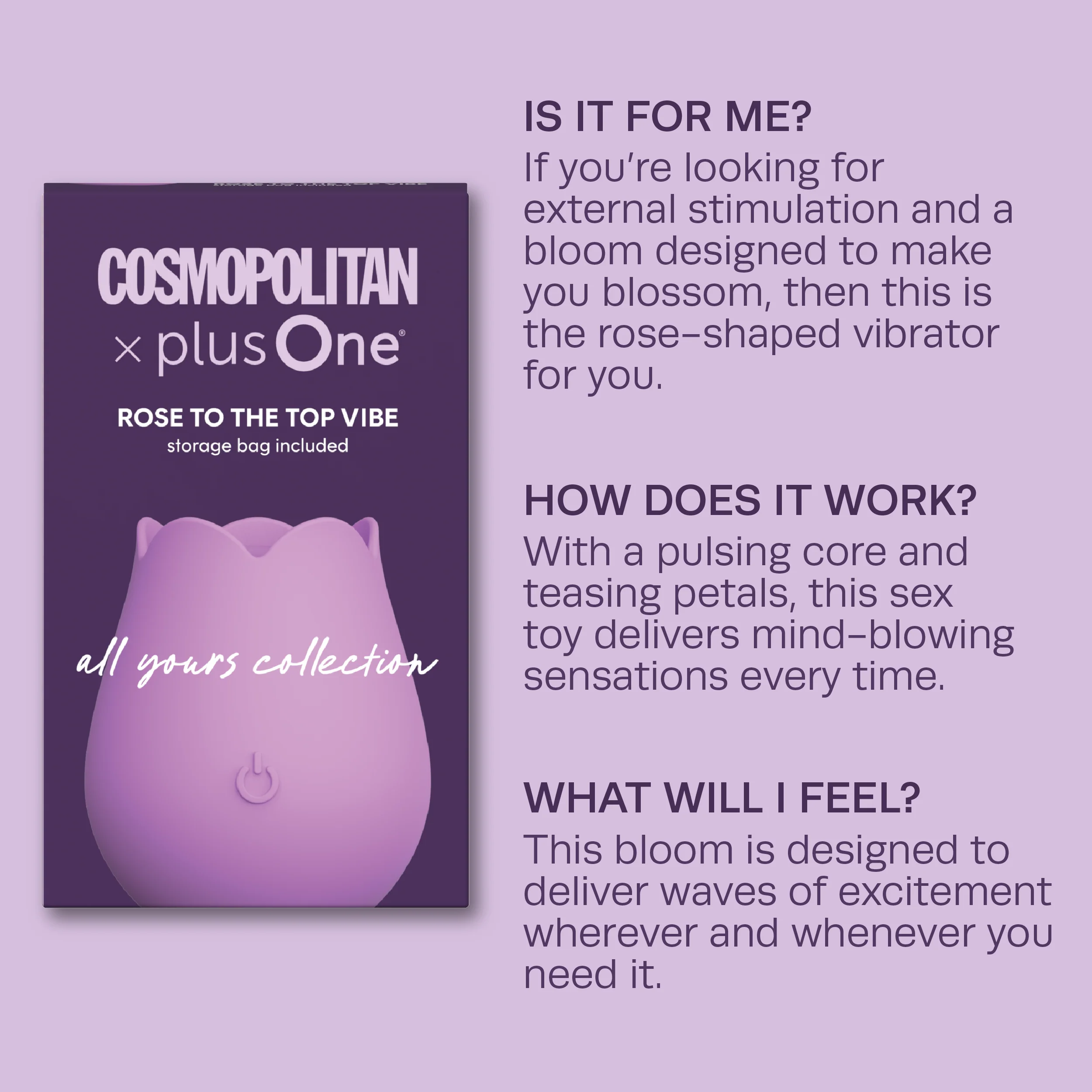 Rose To The Top Vibe - Cosmo